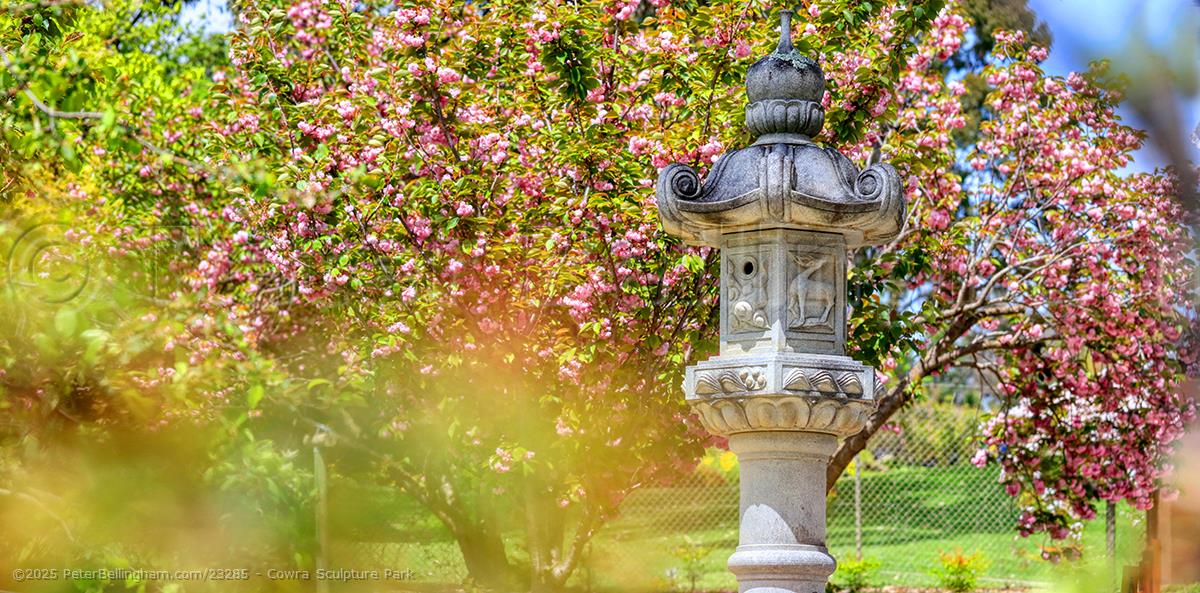 Peter Bellingham Photography Cowra Sculpture Park